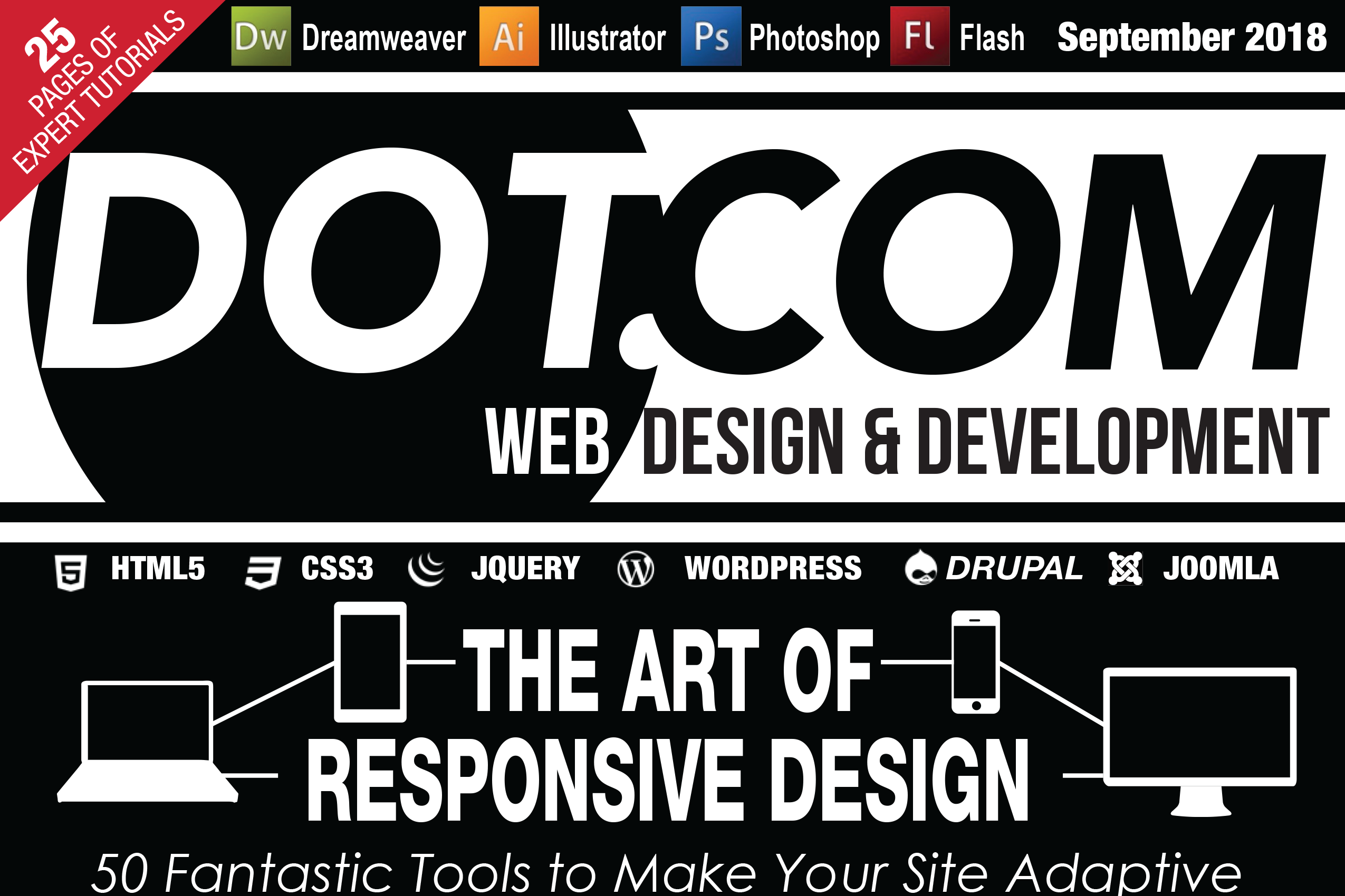 dot com magazine cover